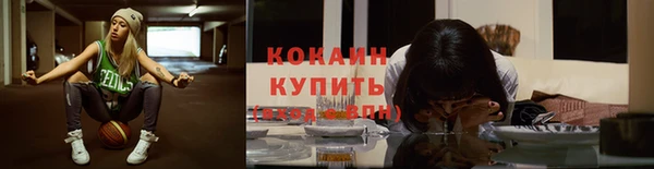бошки Аркадак
