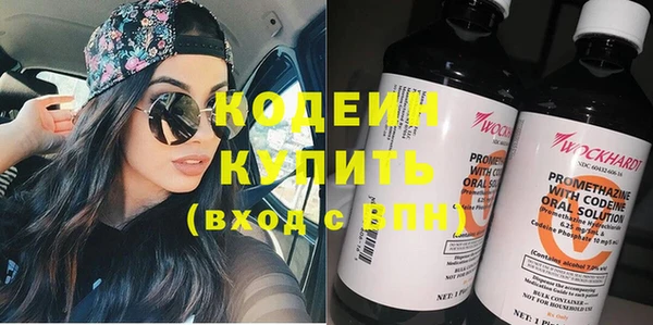 дурь Арсеньев