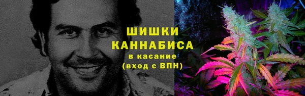 бошки Аркадак