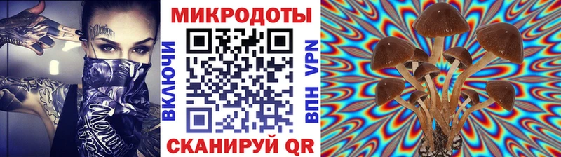 KRAKEN как зайти  Себеж  Псилоцибиновые грибы Psilocybine cubensis 